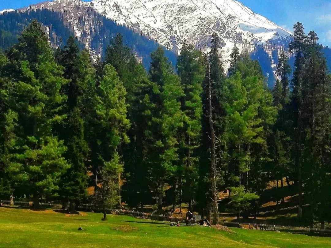 Doodhpathri: Pristine Rivers and Green Meadows of the Milk Valley