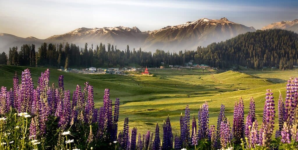 Gulmarg winter panorama