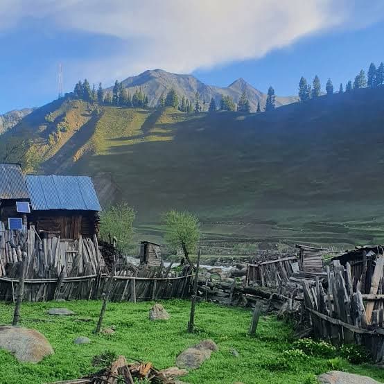 Wooden Dardic houses