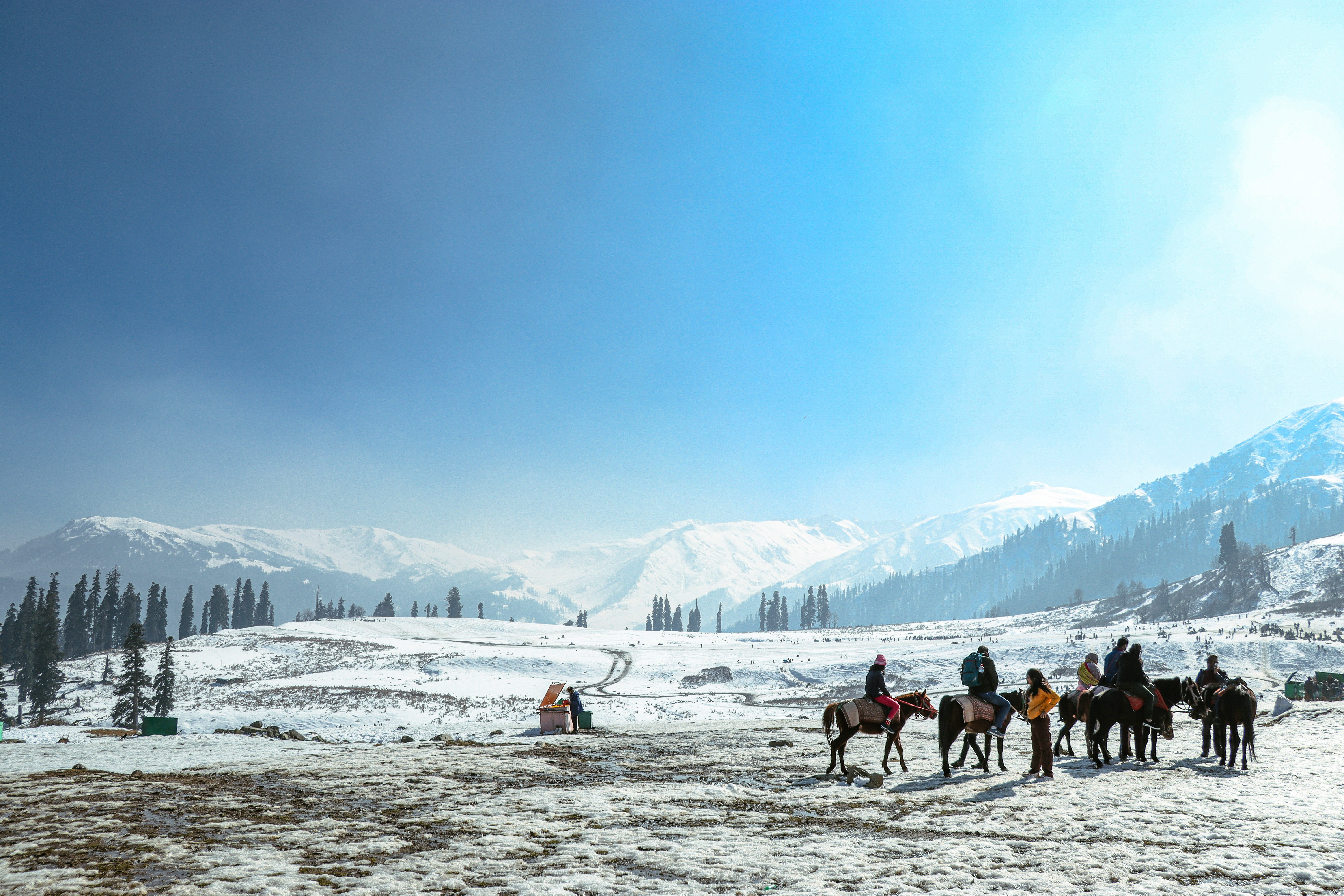 Kashmir - Buy 1 Get 1 Free
