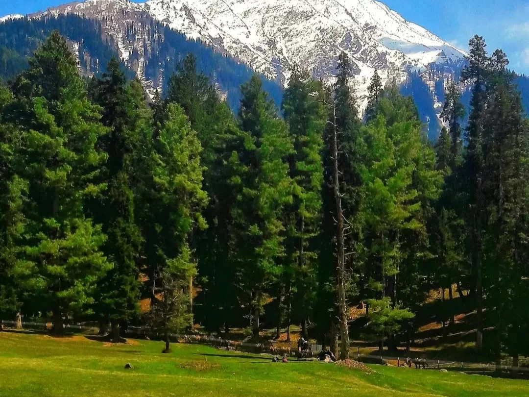 Kashmir With Pahalgam Special