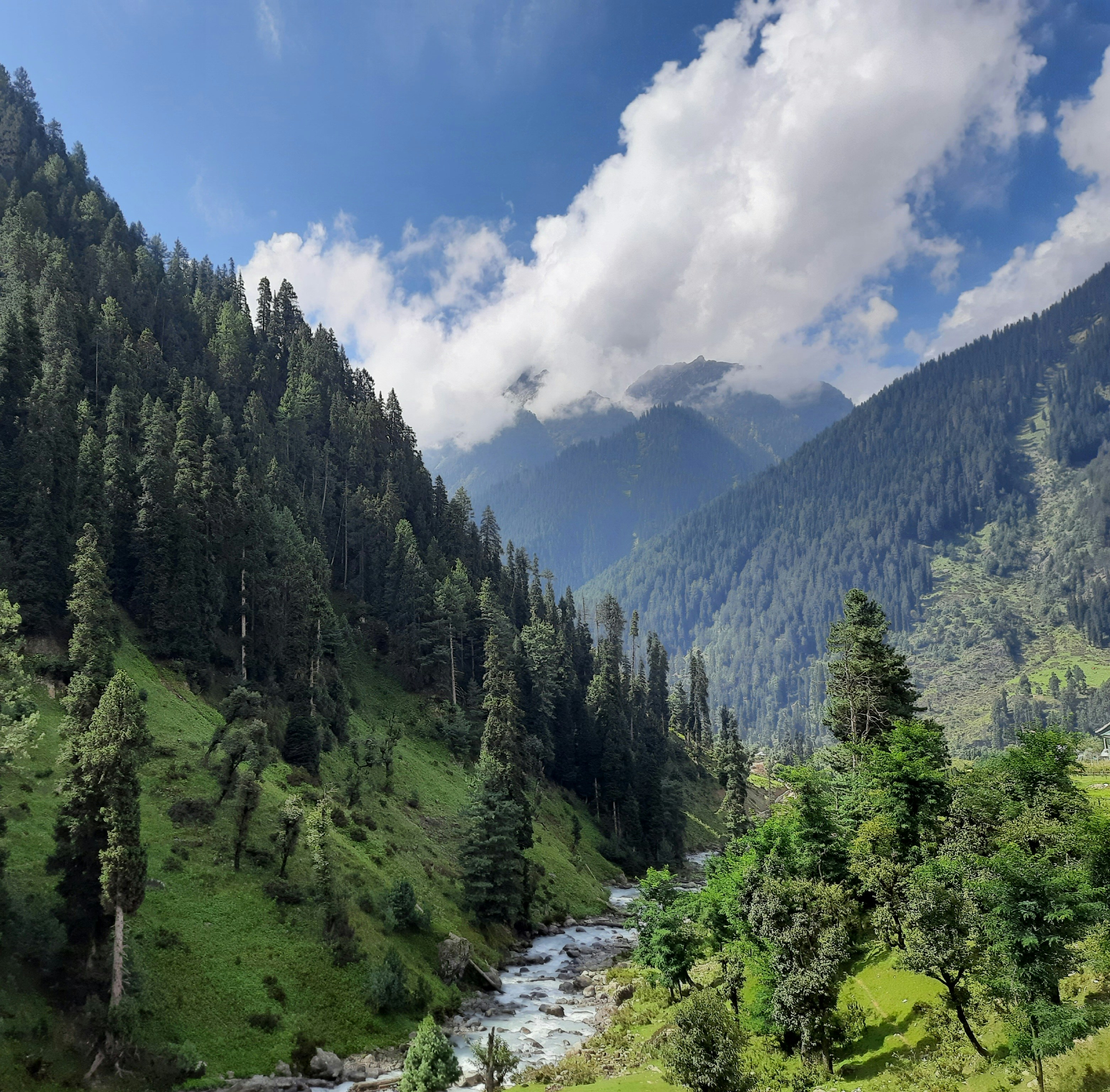 Kashmir Special With Gulmarg And Sonmarg Stay